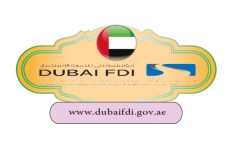 Dubai FDI